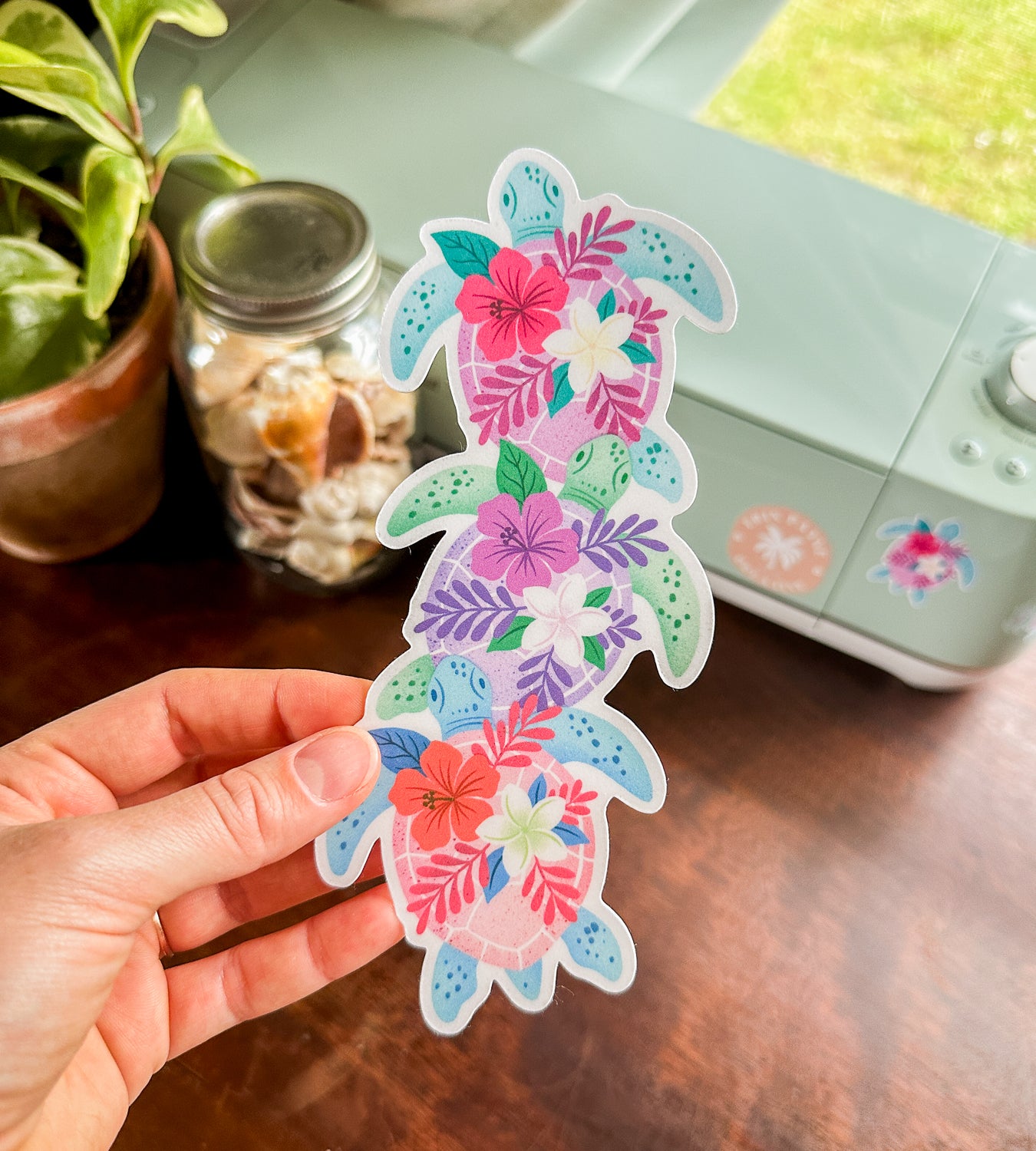 Tropicolor Turtles Bundle Box (Limited Stock!)