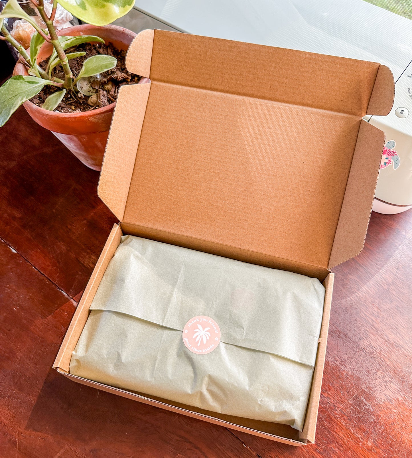 Tropicolor Turtles Bundle Box (Limited Stock!)
