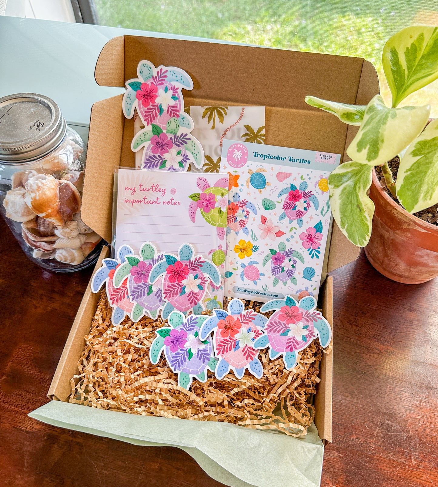Tropicolor Turtles Bundle Box (Limited Stock!)
