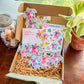Tropicolor Turtles Bundle Box (Limited Stock!)